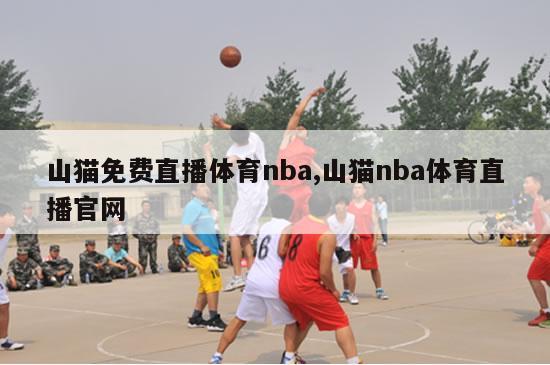 山猫免费直播体育nba,山猫nba体育直播官网